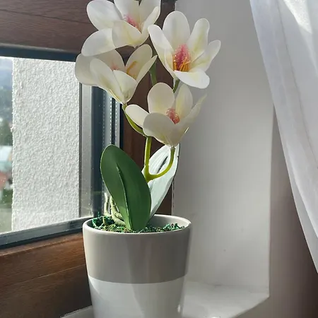 West - Panorama Lux & Apartament