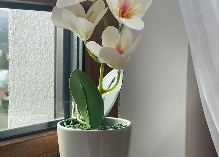 West - Panorama Lux & Daire